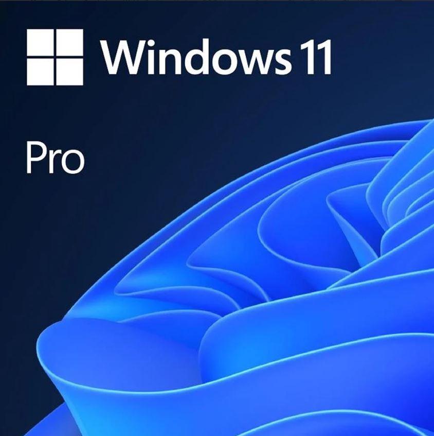 Microsoft Windows 11 Pro -